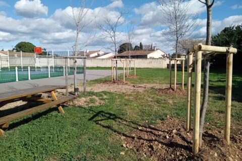 Photo Ville d'Arles prise après les plantations effectuées à la fin de l'hiver, en début d'année 2026, au city-stade de Moulès.