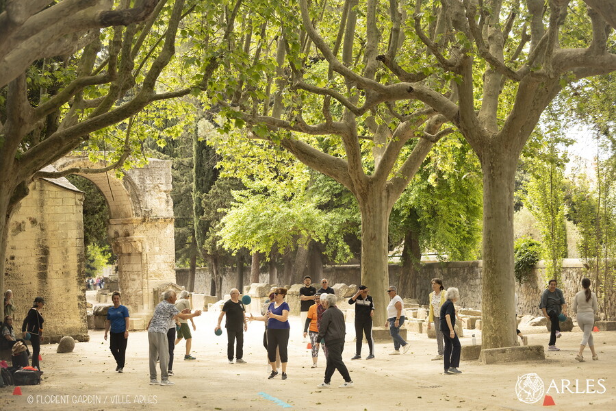 Aux Alyscamps, sport rime avec seniors – Arles