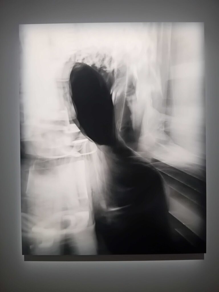 Agrandir l'image
