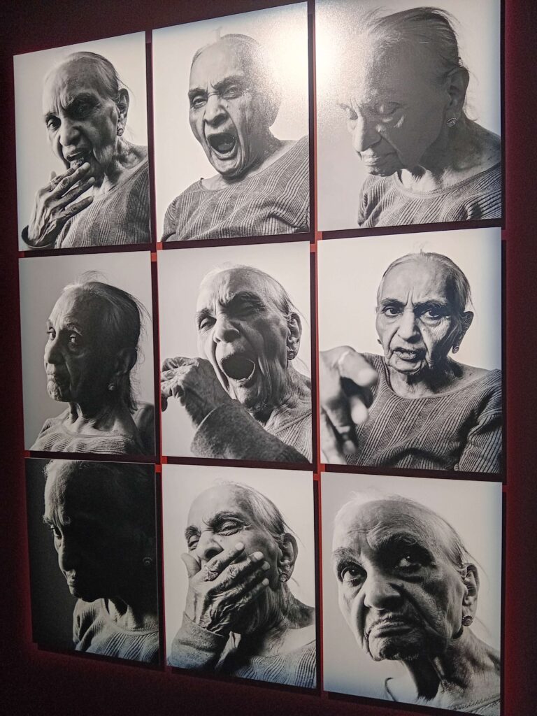 Agrandir l'image