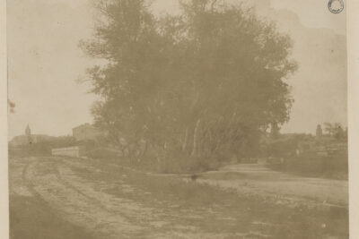 Agrandir l'image 2