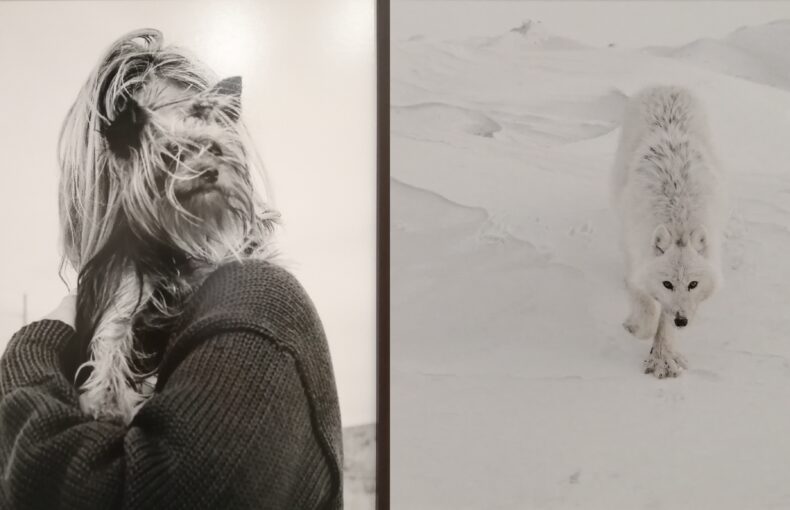 Photos de l'exposition "Modèle animal" à la Mécanique Générale dans le cadre des Rencontres d'Arles 2026.