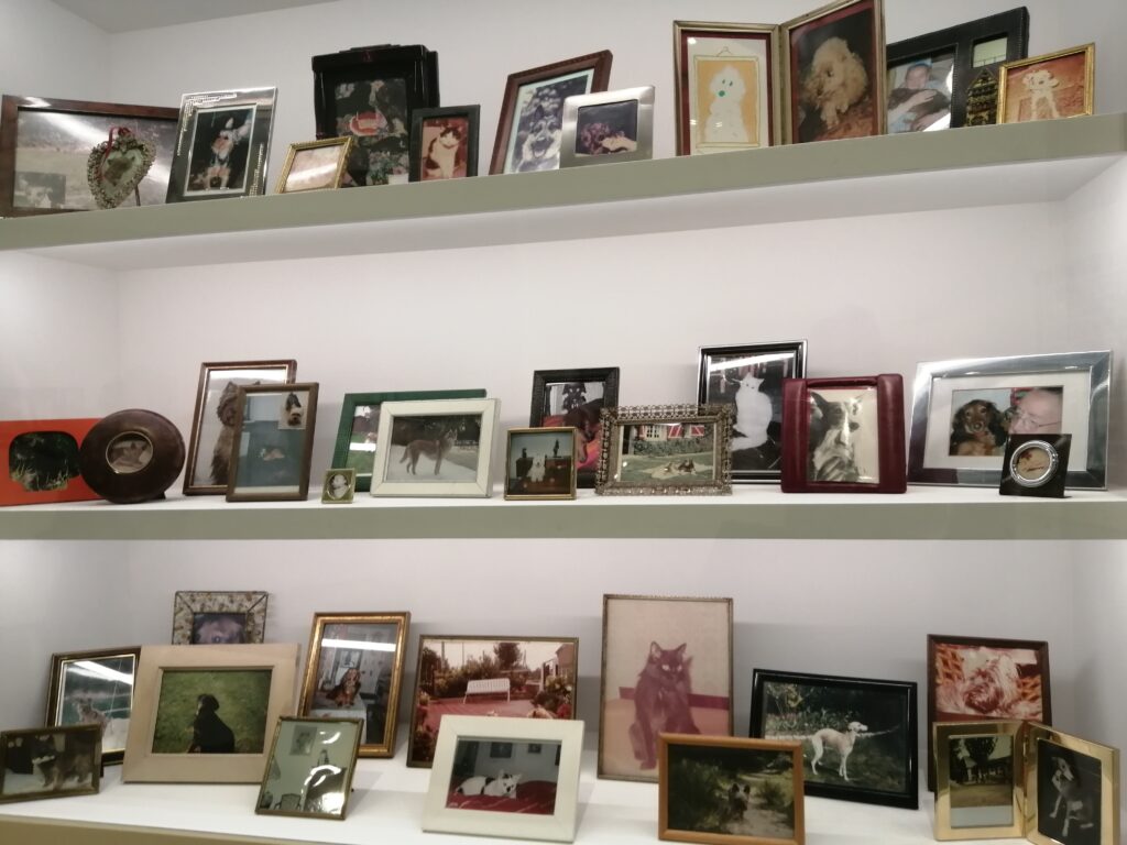 Agrandir l'image