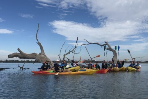 Image prise lors d'une sortie canoë organisée lors du festival "Dans les bras du Rhône".