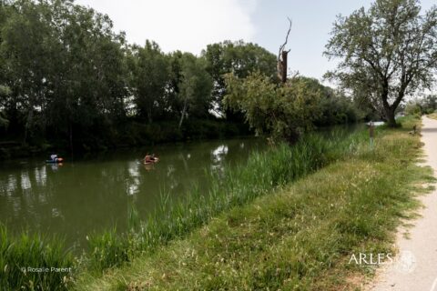 Des espaces verts gérés durablement