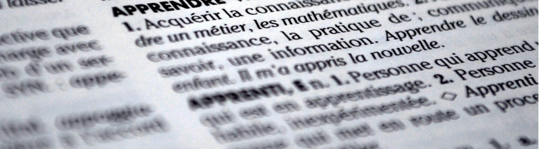 La distribution de dictionnaires aux élèves de CM1