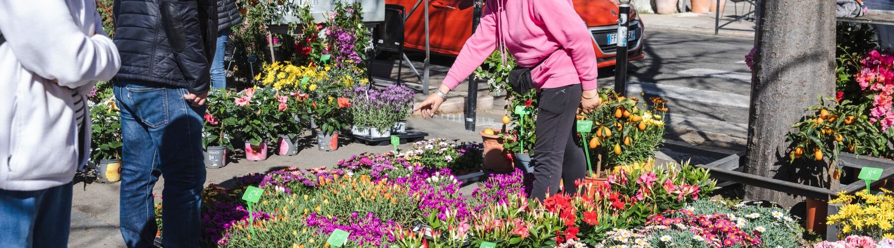 La foire aux plantes