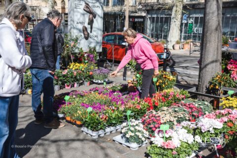 La foire aux plantes
