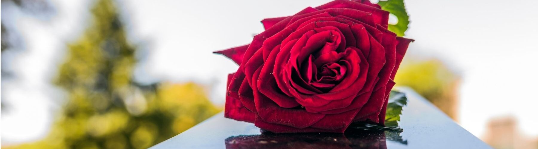 La reprise des concessions temporaires