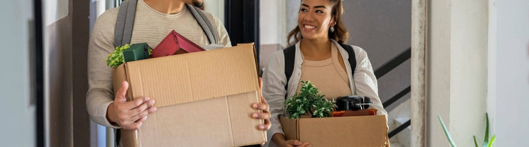 Le logement étudiant