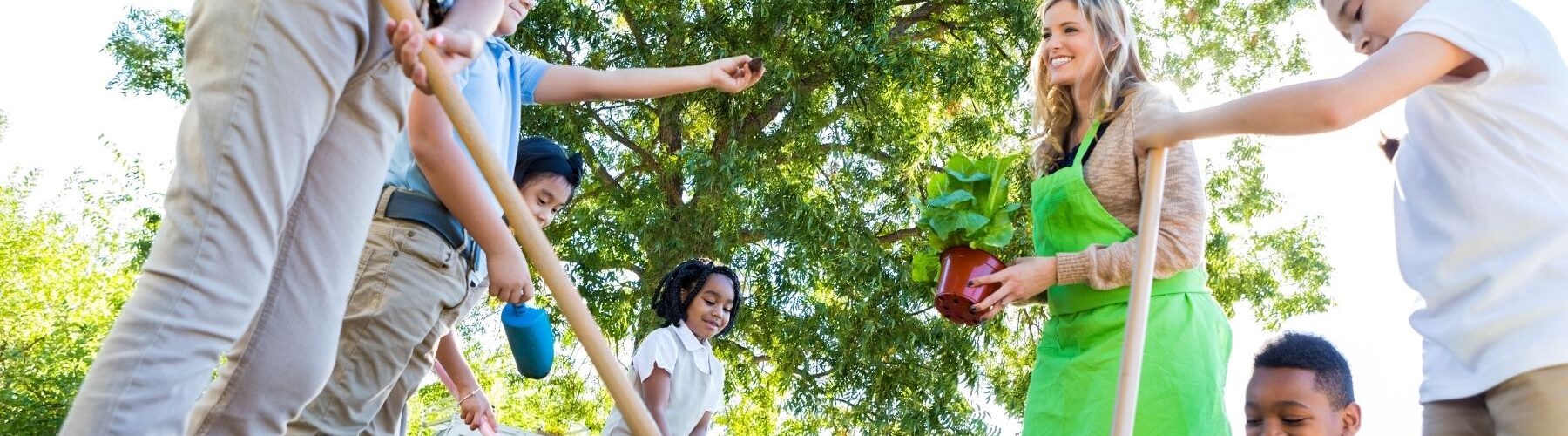 Les actions éducatives