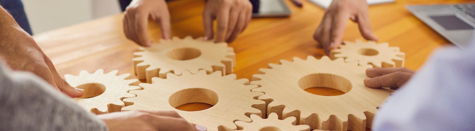 Les comités d’interêts de quartier et de village