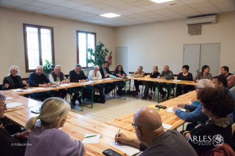 Conseils de villages