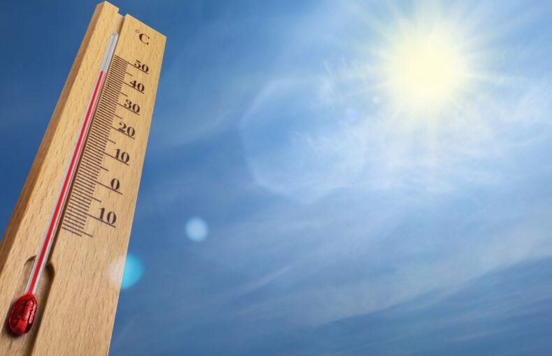 La canicule
