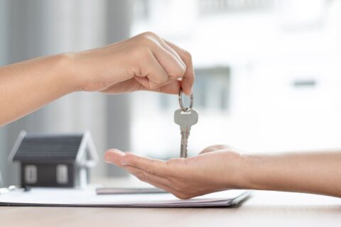 Location saisonnière