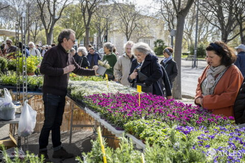 Photo de la Fête des Plantes et de la Nature 2024 à Arles, prise par Philippe Praliaud.
